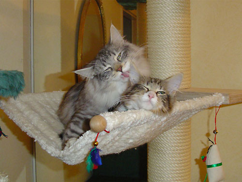 Voir photo en 1024 x 768