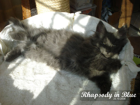 Rhapsody in Blue