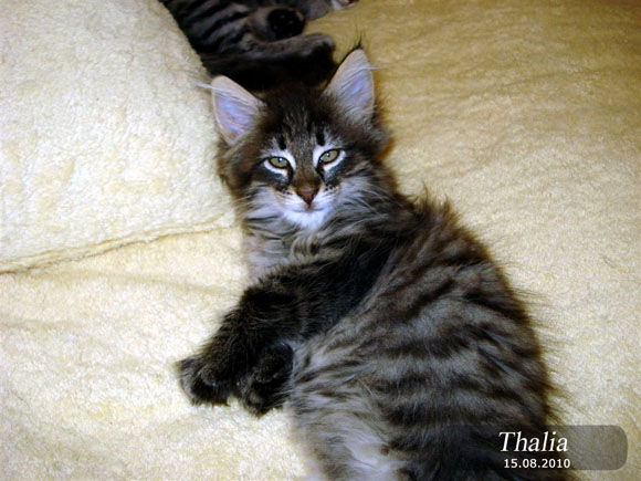 THALIA