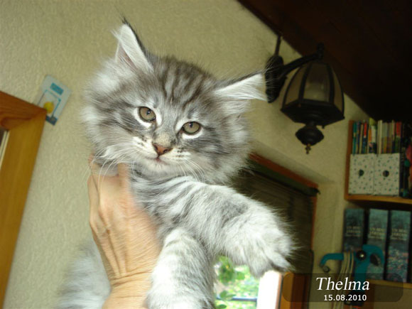 THELMA