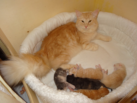 Karma and babies