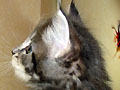 View pic